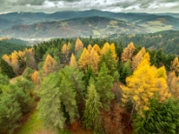 Muszyna, Malnik